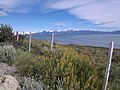 Lac Argentino vu depuis la route qui traverse le parc national Los Glaciares.