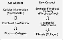 Pathobiology of IPF