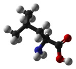 ▵ Molecuulmodel van L-leucine