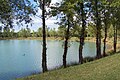 Le lac des Neuf Fontaines (août 2011)