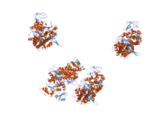 1w8j: CRYSTAL STRUCTURE OF MYOSIN V MOTOR DOMAIN -NUCLEOTIDE-FREE