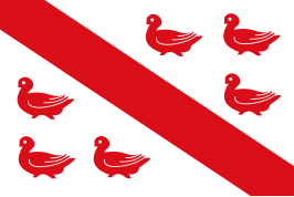 ? Vlag van Tinlot