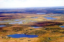 Toendravlakte in Noord-Siberië