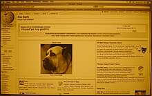 WikipediaTr27march2007.jpg