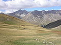 Aussicht vom Col d’Allos