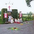 Sterne aus Blättern der Schwertlilie mit Pfingstrosen