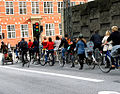 Bicycle rush hour in Copenhagen.