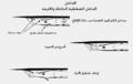 تصغير للنسخة بتاريخ 18:59، 18 يناير 2008