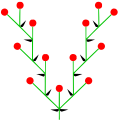 Doppia cima