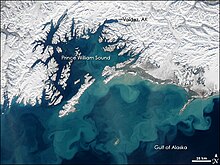 GulfOfAlaska AMO 2008073.jpg