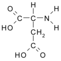 Asparaginsýra (Asp / D)