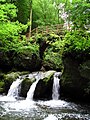 Lamm-dour Schiessentümpel e-kichen Waldbillig er Mullerthal, e Luksembourg.