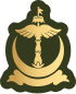 Company Sergeant Major