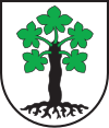 Wappen von Trun