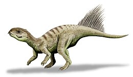 A Chaoyangsaurus rekonstrukciója