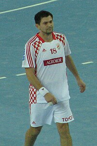 Denis Špoljarić, 2008.