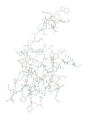 Image 4Ling Zhi-8, an immunomodulatory protein isolated from Ganoderma lucidum (from Medicinal uses of fungi)