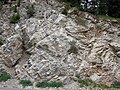 Місісіпський мергель (складений кальцитом) у Big Cottonwood Каньйон, Wasatch Mountains, Юта.