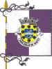 Flag of Cabeceiras de Basto