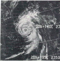 Typhoon Rita near peak intensity