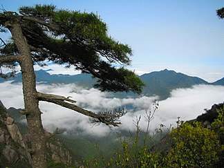 Landschaft im Sanqing Shan