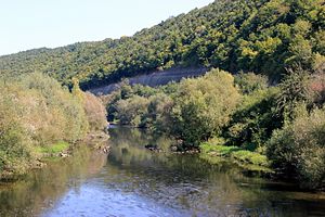 Серет біля села Городок