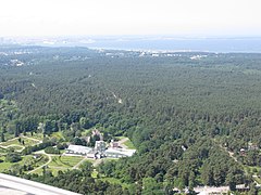 Vue du parc forestier de Kloostrimetsa depuis la tour de télévision.