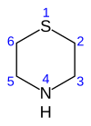 Thiomorpholine