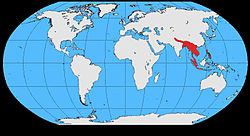 Distribución natural de Gallus gallus.