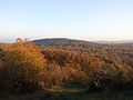 Blick vom Alten Hollenstein auf den 347 Meter hohen Höchberg