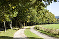 South eastern part of the Lichtentaler Allee