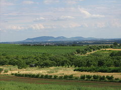 Pálava Biosfera Erreserba, Moravia