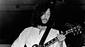 1946: Peter Green, guitarriste (Fleetwood Mac)