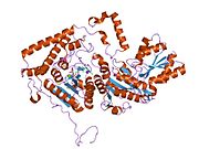 1dtw: HUMAN BRANCHED-CHAIN ALPHA-KETO ACID DEHYDROGENASE