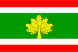 Vlag