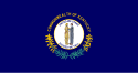 Kentuckys delstatsflag