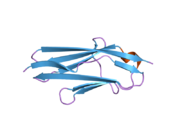 1u2h: X-ray Structure of the N-terminally truncated human APEP-1