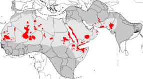 Aires de répartition du criquet pèlerin. En rouge, les zones principales de pullulation pouvant être à l'origine d’une invasion (outbreak areas en anglais) ; en gris clair, les zones de rémission (aire normale d'habitat du criquet pèlerin en phase solitaire ; les zones en gris clair et  gris foncé représentent ensemble l'aire d'invasion (aire totale pouvant être envahie par les essaims en cas d'invasion généralisée).