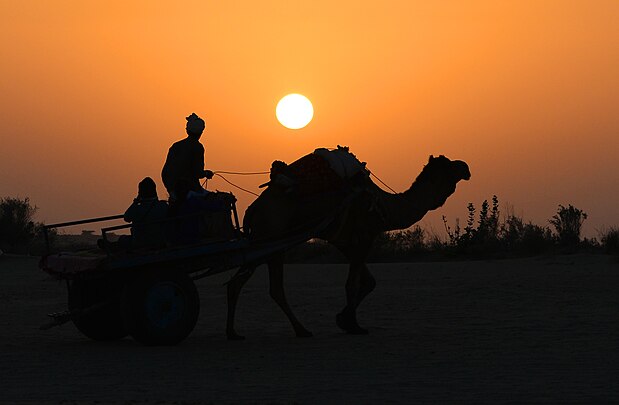 Coucher de soleil, désert du Thar.