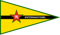 Drapeau du Bataillon international des YPG.