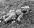 A Chinese soldier, killed by Marines of the 1st Marine Division in Korea