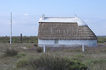 Maison de gardian en Camargue.