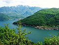 Rigardo al la Lago de Lugano kaj Morcoto