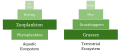 Image 86Biomass pyramids. Compared to terrestrial biomass pyramids, aquatic pyramids are generally inverted at the base. (from Marine food web)