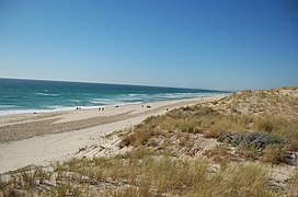 Plage de Biscarrosse, dans le nord-ouest.