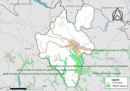 Carte des ZNIEFF de type 1 sur la commune.