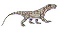 Biarmosuchus