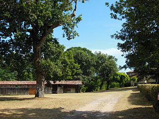 Entrée de l'airial (prairie de l'assemblade) et chevet de l'église.