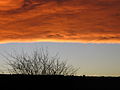 Décembre 2006 L'arche du chinook à Calgary (Alberta) au lever du soleil.