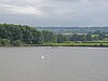 Birds on Chew Valley Lake at Herriots Bridge